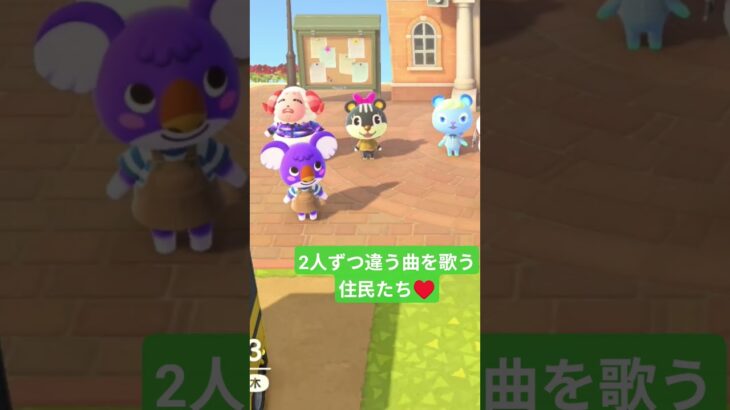 #あつ森　#ちゃちゃまる　#シドニー　#スピカ　以前の住民たち #かわいい