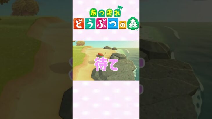 【あつ森】お魚釣るのだって楽しい！釣れない、、、？！時は？？