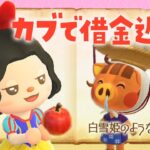 【あつ森】アプデに向けて！カブ活でお金稼ぎするライブ #あつまれどうぶつの森