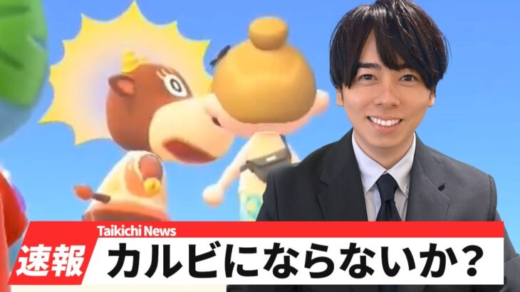 【あつ森】『拾ってくれ！』キャンプサイトに現れたジョニーを実況してみた【あつまれどうぶつの森】【たいきち】