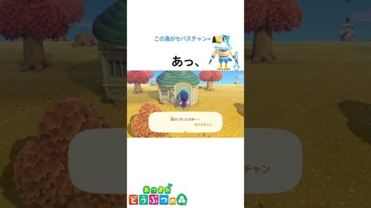 追放するか、#あつまれどうぶつの森 #あつ森 #あつまれどうぶつのもり