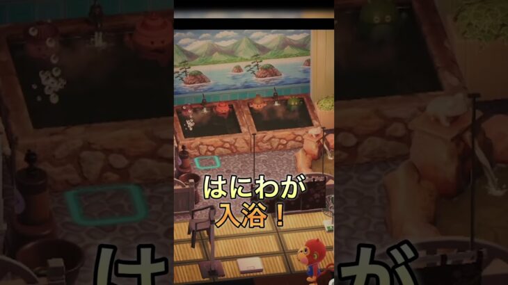 【あつ森】８×８さすけの日本銭湯へ♨️＃ハピパラ＃あつ森＃ハピパラ＃リッキー