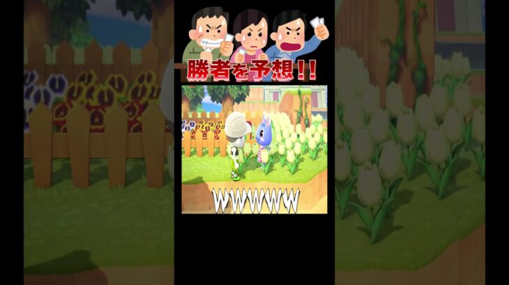 あつまれ‼️落とし穴デスレース秋開幕🍂🌬️#あつ森 #落とし穴レース