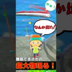 あつ森 ｜ 離島探索で初の超大物を釣り上げ大困惑ｗ