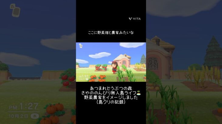 【あつ森】野菜農家の雰囲気を🧑‍🌾エンジェル島の嶋クリエイトの記録 #あつ森 #あつまれどうぶつの森 #あつ森好きと繋がりたい #島クリエイト