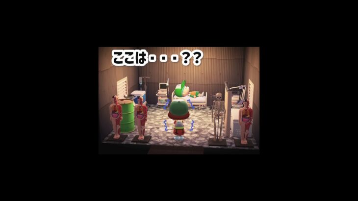 フレンドさんの島が大人すぎた件 #あつ森　#あつ森ショート