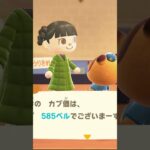 あつ森🌳カブ売った後に爆上がり😆