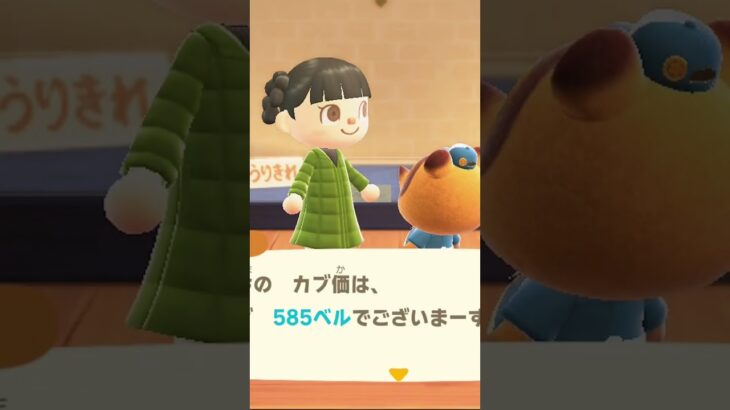 あつ森🌳カブ売った後に爆上がり😆