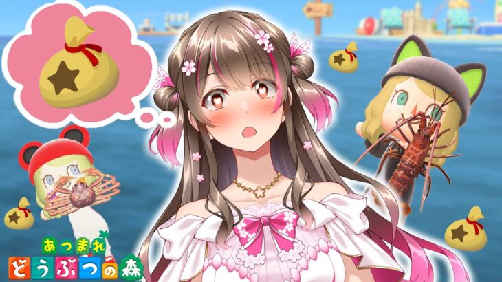 【あつ森】検証！２時間本気で海の幸でベル稼ぎをしたらいくら稼げるのか？ 秋の海編【あつまれどうぶつの森 ライブ】