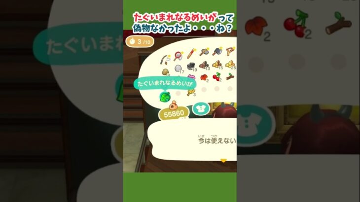 【あつ森】本物が沢山あるの？これは🦊の・・・ #あつ森 #あつ森日記 #あつまれどうぶつの森