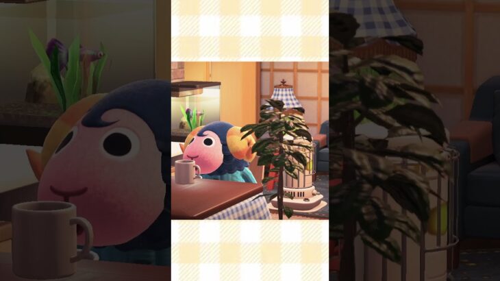 【あつ森】こじんまりとした洗濯屋さんを経営するモヘアの洗濯屋さん！