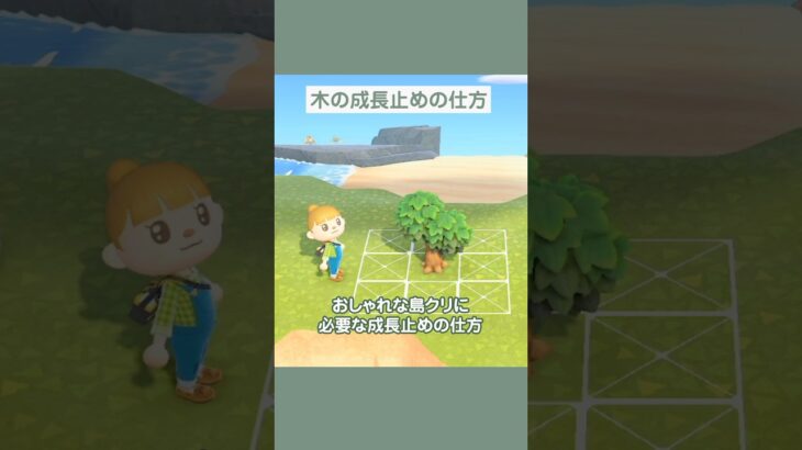 【あつ森】木の成長を止める方法！ #島クリエイト #あつまれどうぶつの森