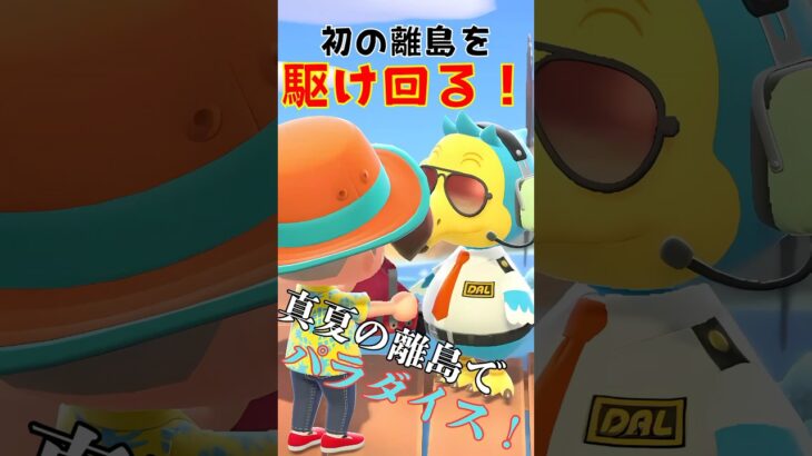 あつ森 | 初の離島探索が楽しすぎた…！