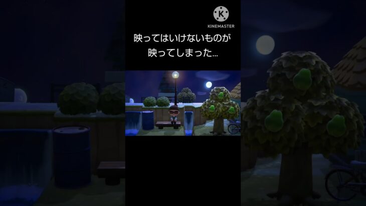 [あつ森］映ってはいけないものが映ってしまった(⁠ ⁠；⁠∀⁠；⁠) #どうぶつの森#あつ森 #あつまれどうぶつの森