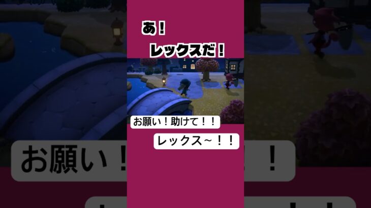 助けて！レックス‼︎ [あつ森]