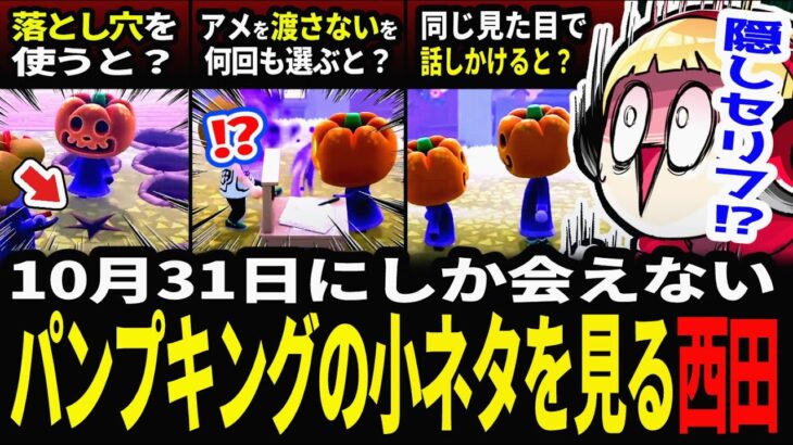【あつ森】パンプキングに落とし穴を使ってみた結果…まさかの展開に絶望する西田【ハロウィンの小ネタまとめ】
