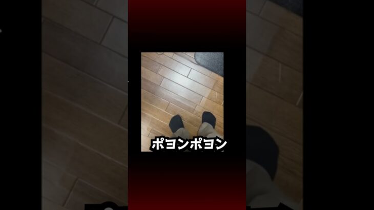 【あつ森】新築の家と現実の家を比べてみた！