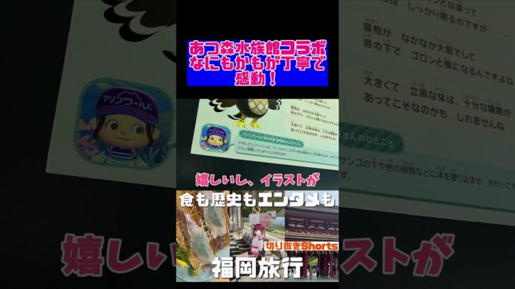 あつ森水族館コラボ、何もかもが丁寧で感動！