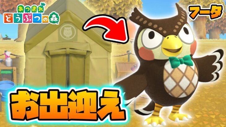 【あつ森】フータ専用のテント完成！？島に博物館の館長を迎え入れろ！【あつまれどうぶつの森】