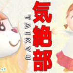 【あつ森】ハピパラフェス開催まで耐久！