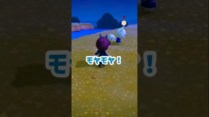 【あつ森】一瞬すぎた！！！🤣でもさすがイケメン、優しい❤️ #あつ森 #あつ森日記 #あつまれどうぶつの森