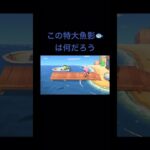あつ森の魚コンプリート目指す#あつ森#あつまれどうぶつの森#どうぶつの森#ゲーム実況#ゲーム配信#ゲーム