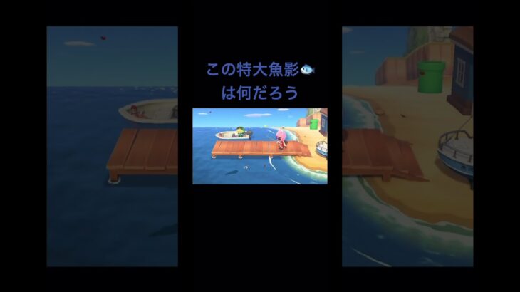 あつ森の魚コンプリート目指す#あつ森#あつまれどうぶつの森#どうぶつの森#ゲーム実況#ゲーム配信#ゲーム