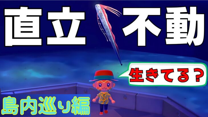 あつ森｜ 家や博物館が遂に完成！島内巡り編 ｜ 単発