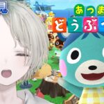 【あつ森】初見歓迎！島の評判三ツ星めざしてのんびり雑談しながらあつ森！ 【可夢ヰみふう/あつまれ どうぶつの森】
