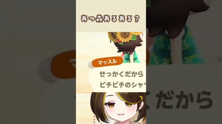 突発名前あてクイズ #あつ森 #ハピパラ