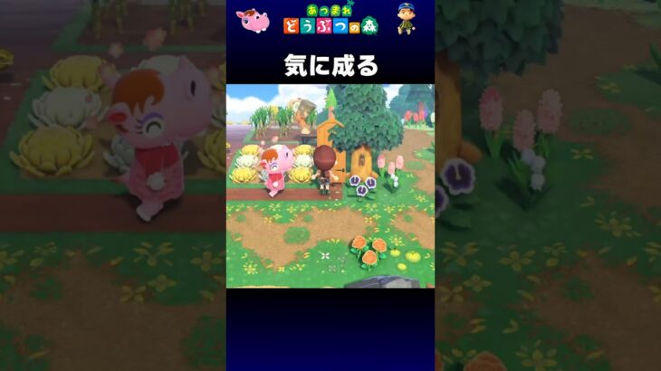 【あつ森】気に成る