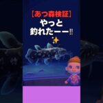 【あつ森検証】やっと釣れたーー！！雨の離島でシーラカンス祭り🐟🌧️ #あつ森 #あつ森小ネタ #あつまれどうぶつの森#どう森#シーラカンス