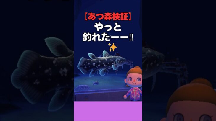 【あつ森検証】やっと釣れたーー！！雨の離島でシーラカンス祭り🐟🌧️ #あつ森 #あつ森小ネタ #あつまれどうぶつの森#どう森#シーラカンス
