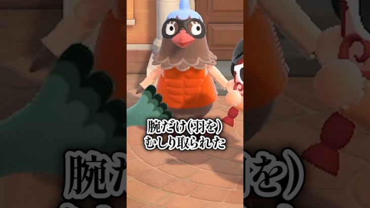 【#あつ森 】筋トレに目覚めた島の住民達が個性豊か過ぎました💪#あつまれどうぶつの森 #どうぶつの森