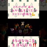 とたけけがついに来た‼️ #あつ森 #あつまれどうぶつの森