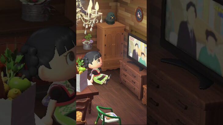 あつ森お部屋模様替え紹介✨仕切り壁を使ってみた。