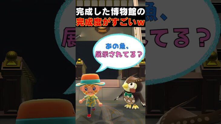 あつ森 ｜ 初めての博物館で探索してみた！