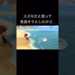 【あつまれどうぶつの森】魚コンプリートを目指す🐟#あつ森#あつまれどうぶつの森#ゲーム実況#ゲーム配信