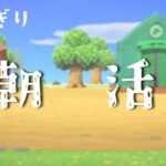 【あつ森】僕はこれでも朝活とよびたい！！「初見さんこんばんわ～