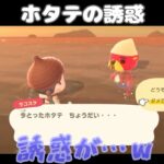 【あつ森】配信中、サンクスギビングデーで起きたホタテ事件。 #あつ森 #あつまれどうぶつの森 #ゲーム実況