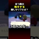 【あつ森】タマシイを返さないを選び続けると…？