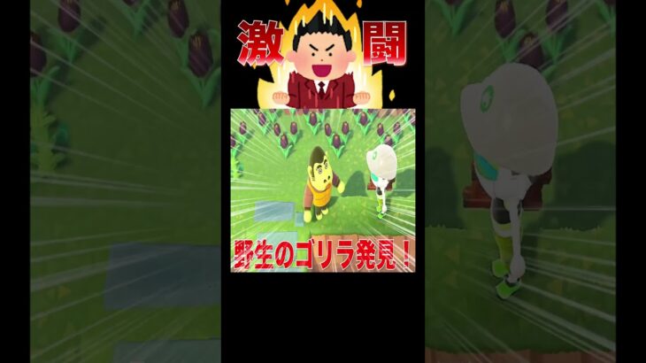 桜花陽春！落とし穴デスレース開始🌸#あつ森 #落とし穴レース