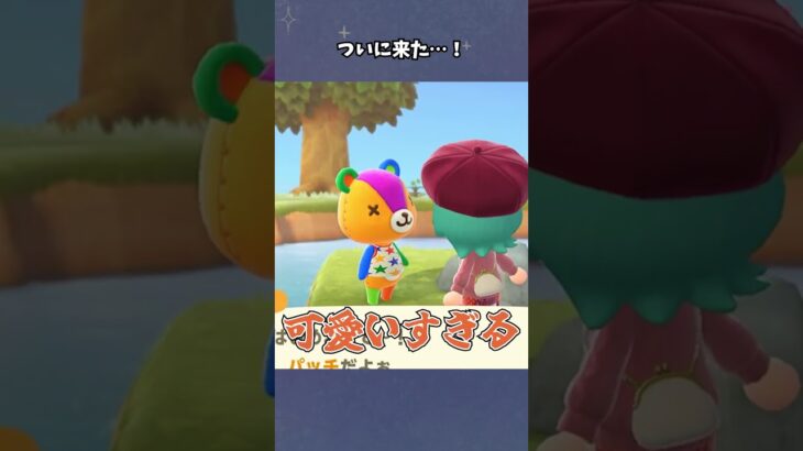 【あつ森】約１年探した推しに会えた…！ #あつ森  #離島ガチャ #女性ゲーム実況