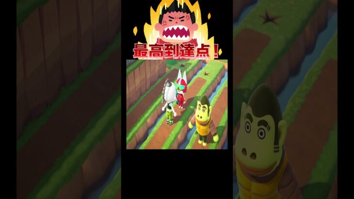 お願いだから語尾変えてください🙇‍♂️🙏#あつ森 #落とし穴レース