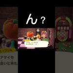 最後まで見てみて#あつ森#ホラー#ドンキーコング#バズれ