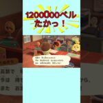 【#あつ森 】サブ島🏝️アプデ前に…