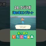 フジツボ、ゲットだぜ！【あつ森】