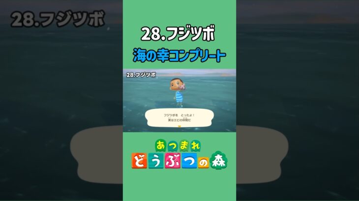 フジツボ、ゲットだぜ！【あつ森】