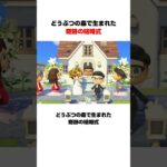 どうぶつの森で生まれた奇跡の結婚式 #あつ森 #あつまれどうぶつの森