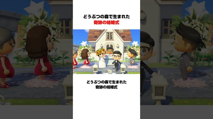 どうぶつの森で生まれた奇跡の結婚式 #あつ森 #あつまれどうぶつの森